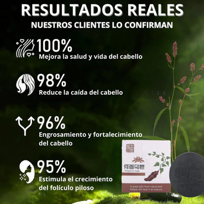 🌿HerbaDark – Shampoo Natural que Revitaliza, Crece y Ayuda a Oscurecer Canas